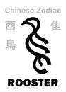 Astrology: ROOSTER / BIRD (sign of Chinese Zodiac) Royalty Free Stock Photo